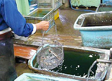 表面処理工程３